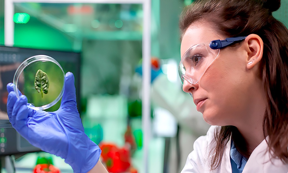 Control de Calidad de Materias Primas, Procesos y Productos Terminados