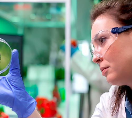 Control de Calidad de Materias Primas, Procesos y Productos Terminados Control de Calidad de Materias Primas, Procesos y Productos Terminados