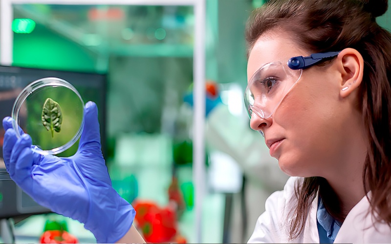 Control de Calidad de Materias Primas, Procesos y Productos Terminados